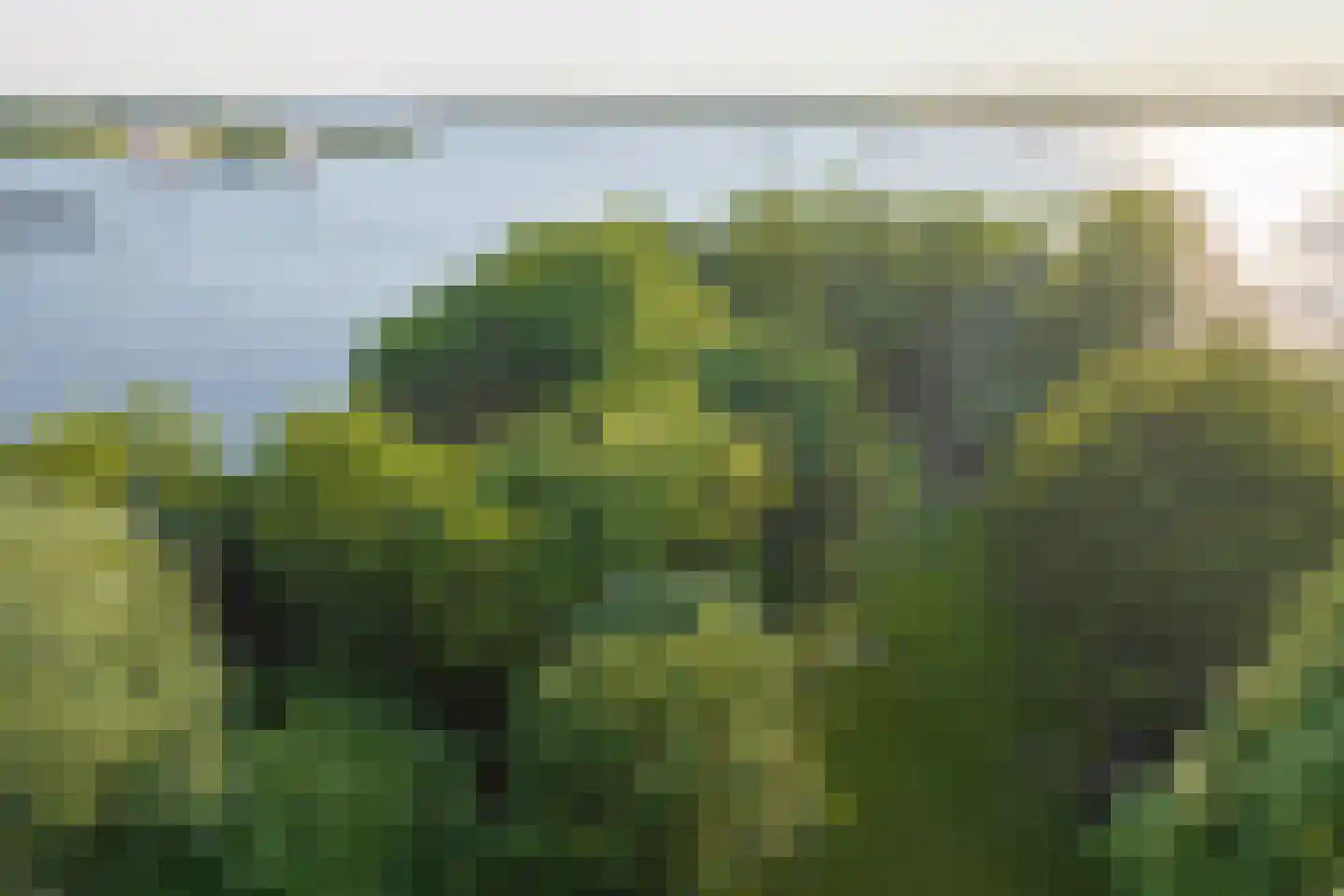 Vogelskamp 1 Warmond thumbnail 26