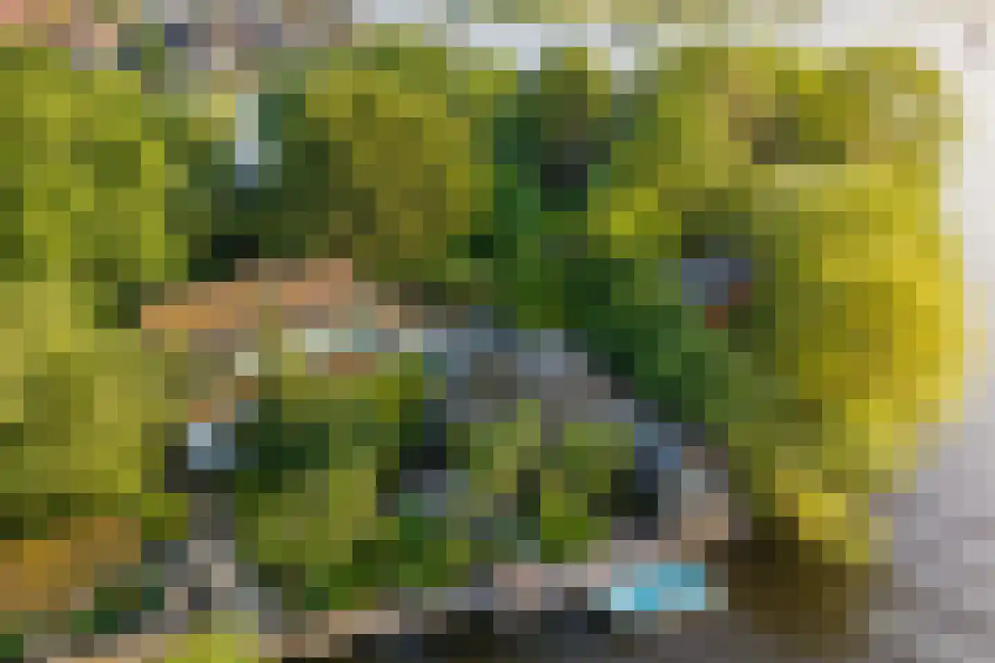 Vogelskamp 1 Warmond thumbnail 5