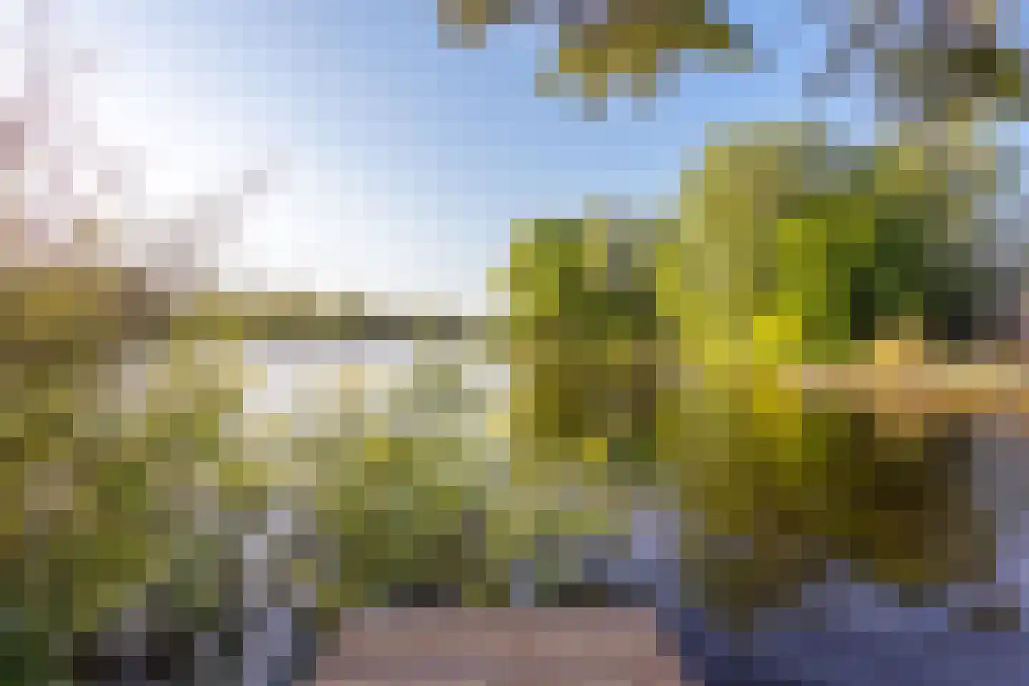 Vogelskamp 1 Warmond thumbnail 6
