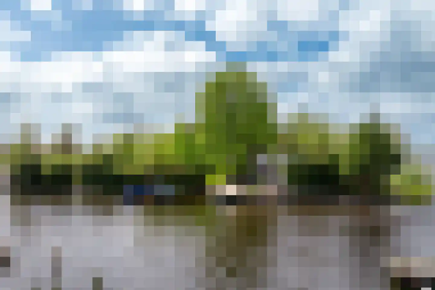 Vogelskamp 1 Warmond thumbnail 7