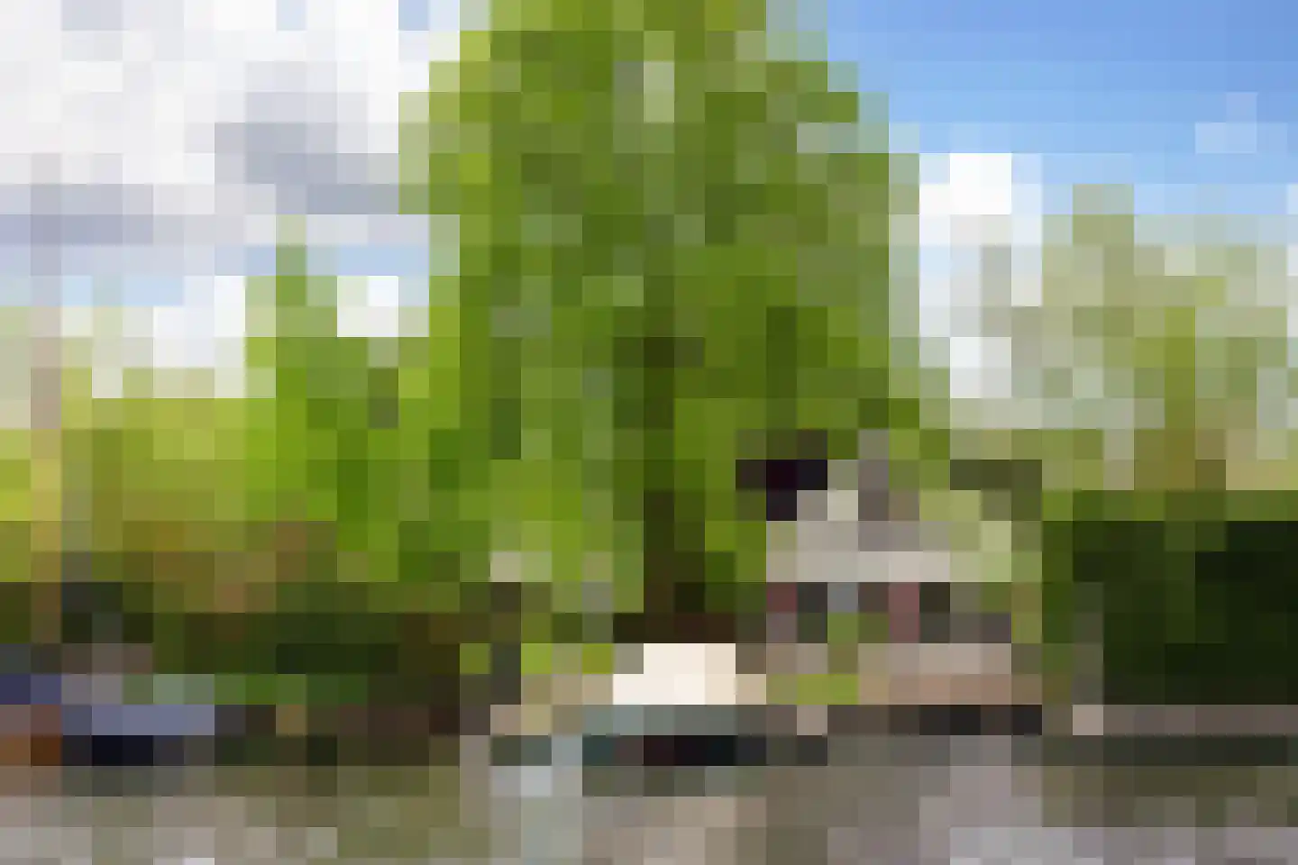 Vogelskamp 1 Warmond thumbnail 8