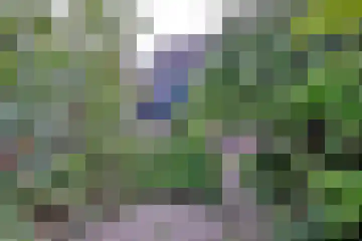 Vogelslag 115 Deventer thumbnail 14