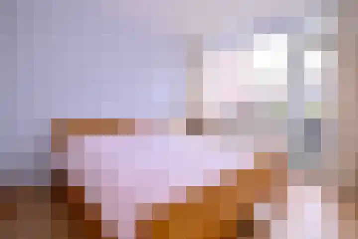 Vogelslag 115 Deventer thumbnail 17
