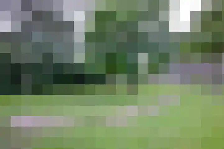 Vogelslag 115 Deventer thumbnail 30