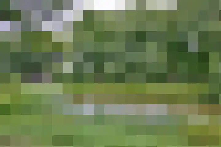 Vogelslag 115 Deventer thumbnail 31