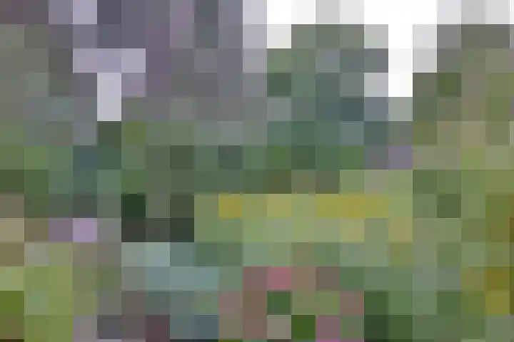 Vogelslag 115 Deventer thumbnail 32