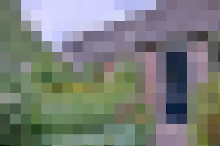 Vogelslag 115 Deventer thumbnail 5