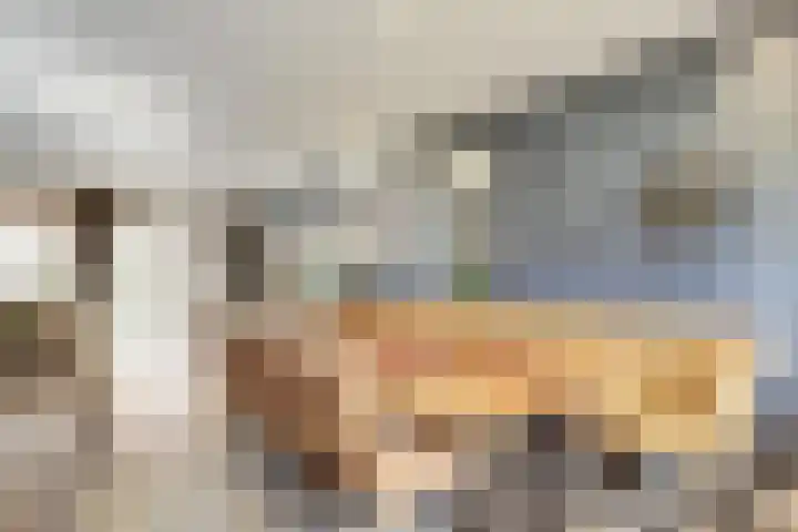 Vogelslag 2 Deventer thumbnail 10