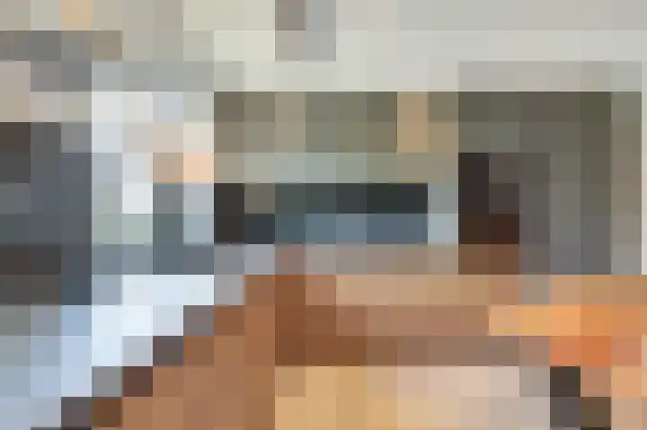 Vogelslag 2 Deventer thumbnail 12