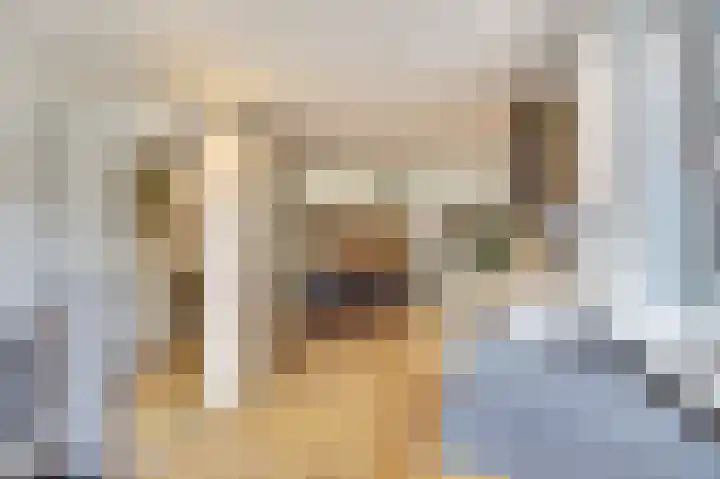 Vogelslag 2 Deventer thumbnail 15
