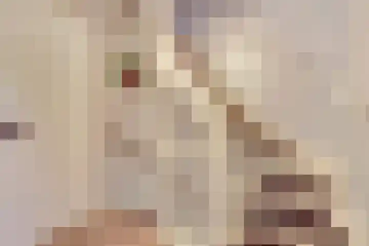 Vogelslag 2 Deventer thumbnail 18