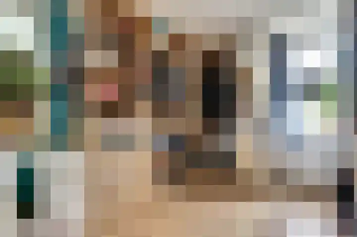 Vogelslag 2 Deventer thumbnail 21