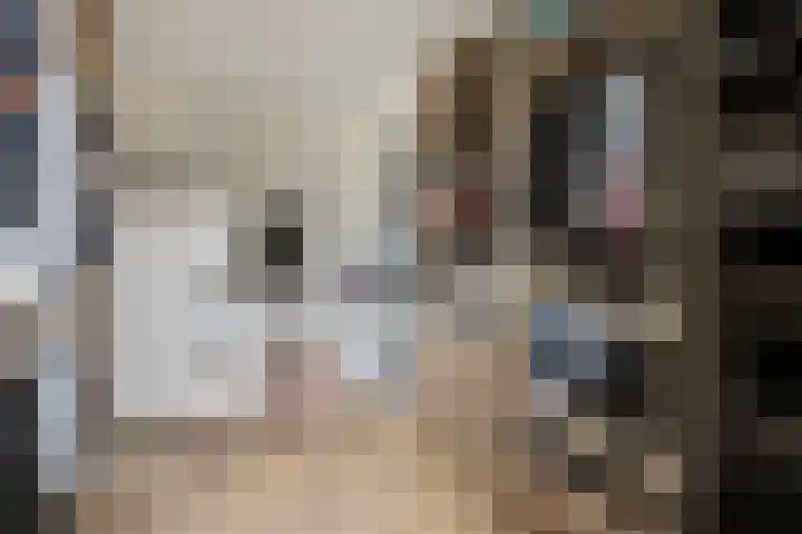 Vogelslag 2 Deventer thumbnail 22