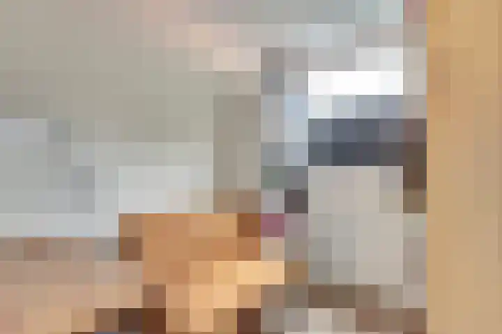 Vogelslag 2 Deventer thumbnail 23