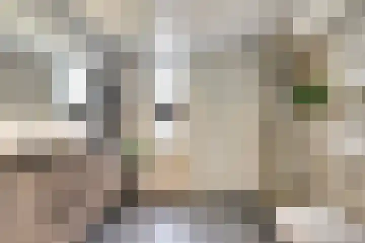 Vogelslag 2 Deventer thumbnail 24