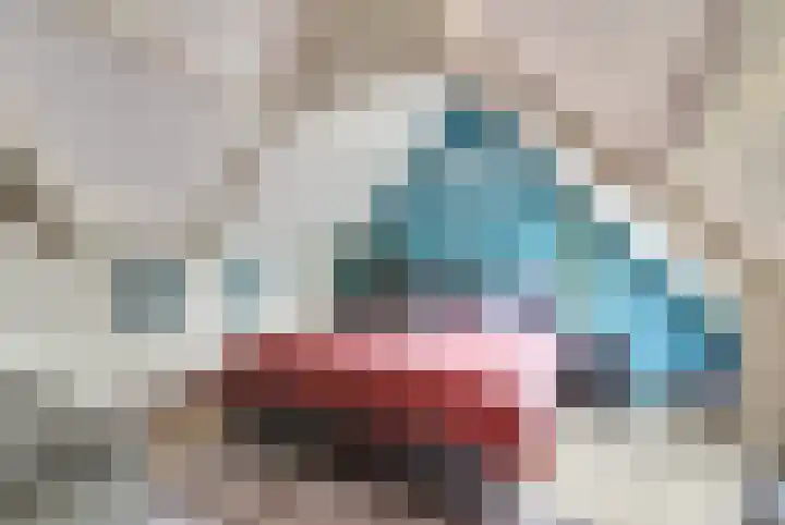 Vogelslag 2 Deventer thumbnail 25