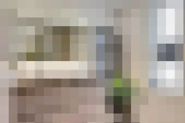 Vogelslag 2 Deventer thumbnail 30