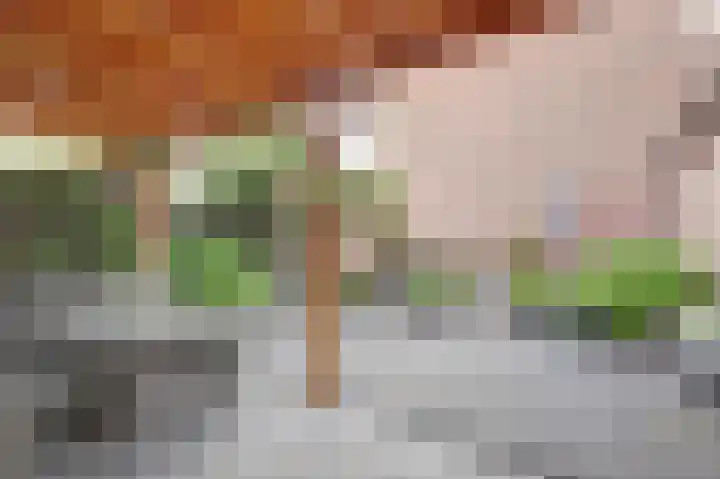 Vogelslag 2 Deventer thumbnail 31