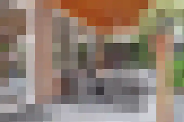 Vogelslag 2 Deventer thumbnail 32