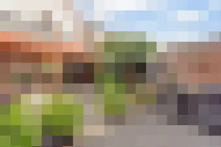 Vogelslag 2 Deventer thumbnail 33
