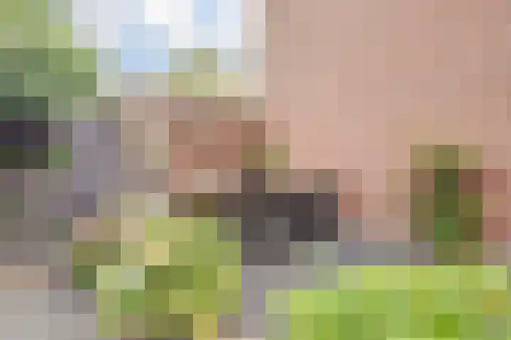 Vogelslag 2 Deventer thumbnail 35