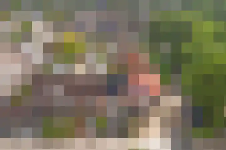 Vogelslag 2 Deventer thumbnail 37