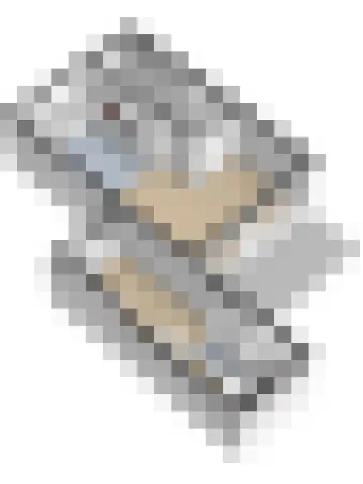 Vogelslag 2 Deventer thumbnail 41