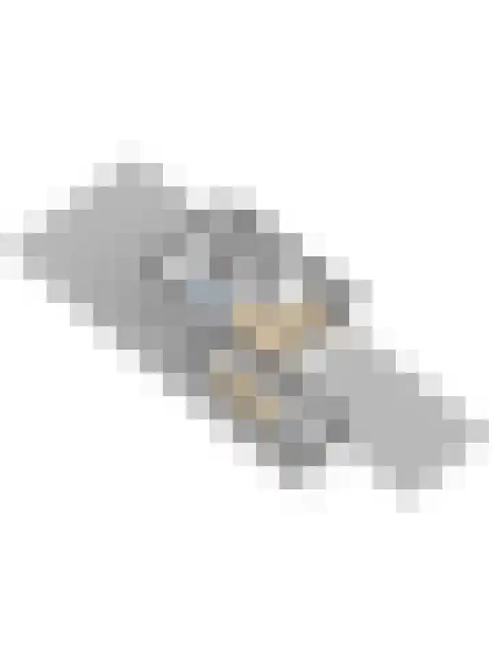 Vogelslag 2 Deventer thumbnail 43