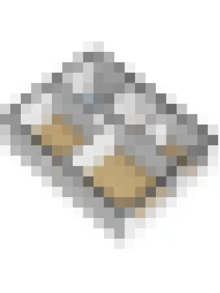 Vogelslag 2 Deventer thumbnail 45
