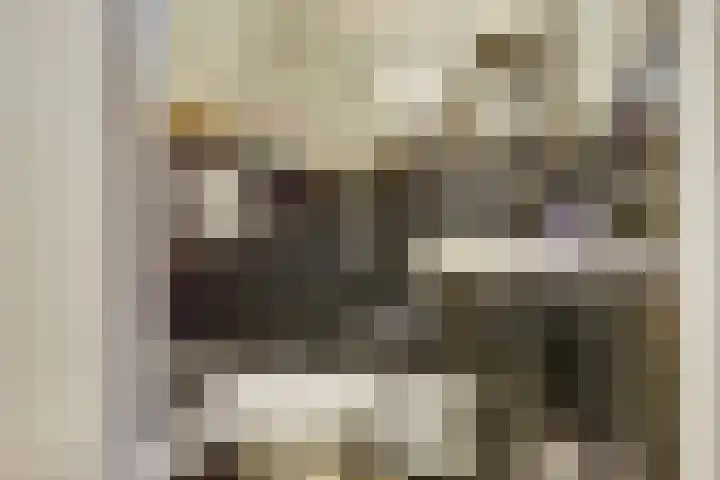 Vogelslag 2 Deventer thumbnail 5