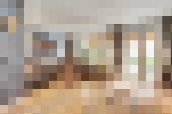 Vogelslag 2 Deventer thumbnail 6