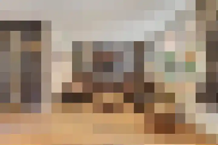Vogelslag 2 Deventer thumbnail 7