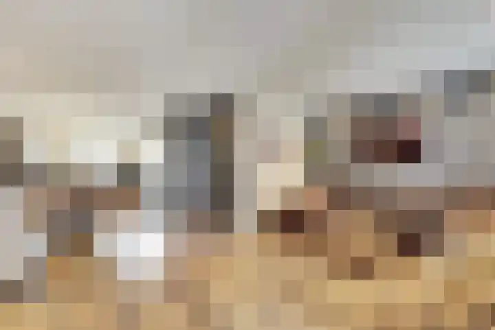 Vogelslag 2 Deventer thumbnail 8