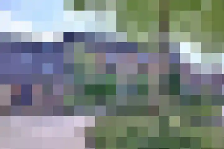 Vogelslag 38 in Deventer