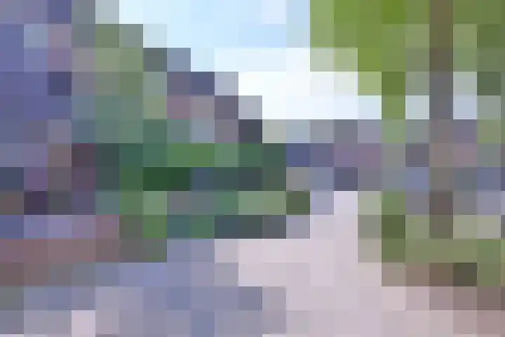 Vogelslag 38 Deventer thumbnail 14