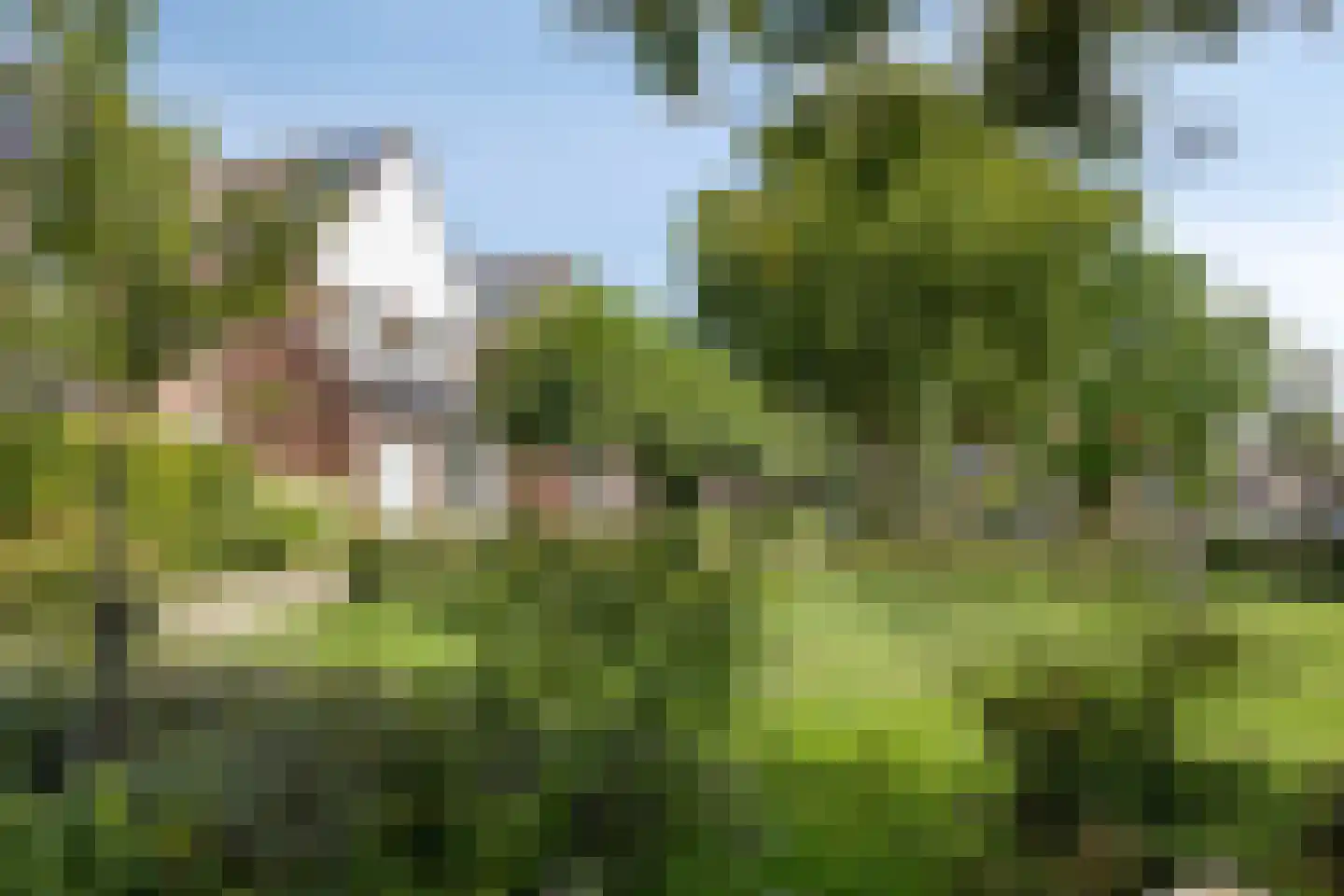 Vogelslag 52 in Deventer