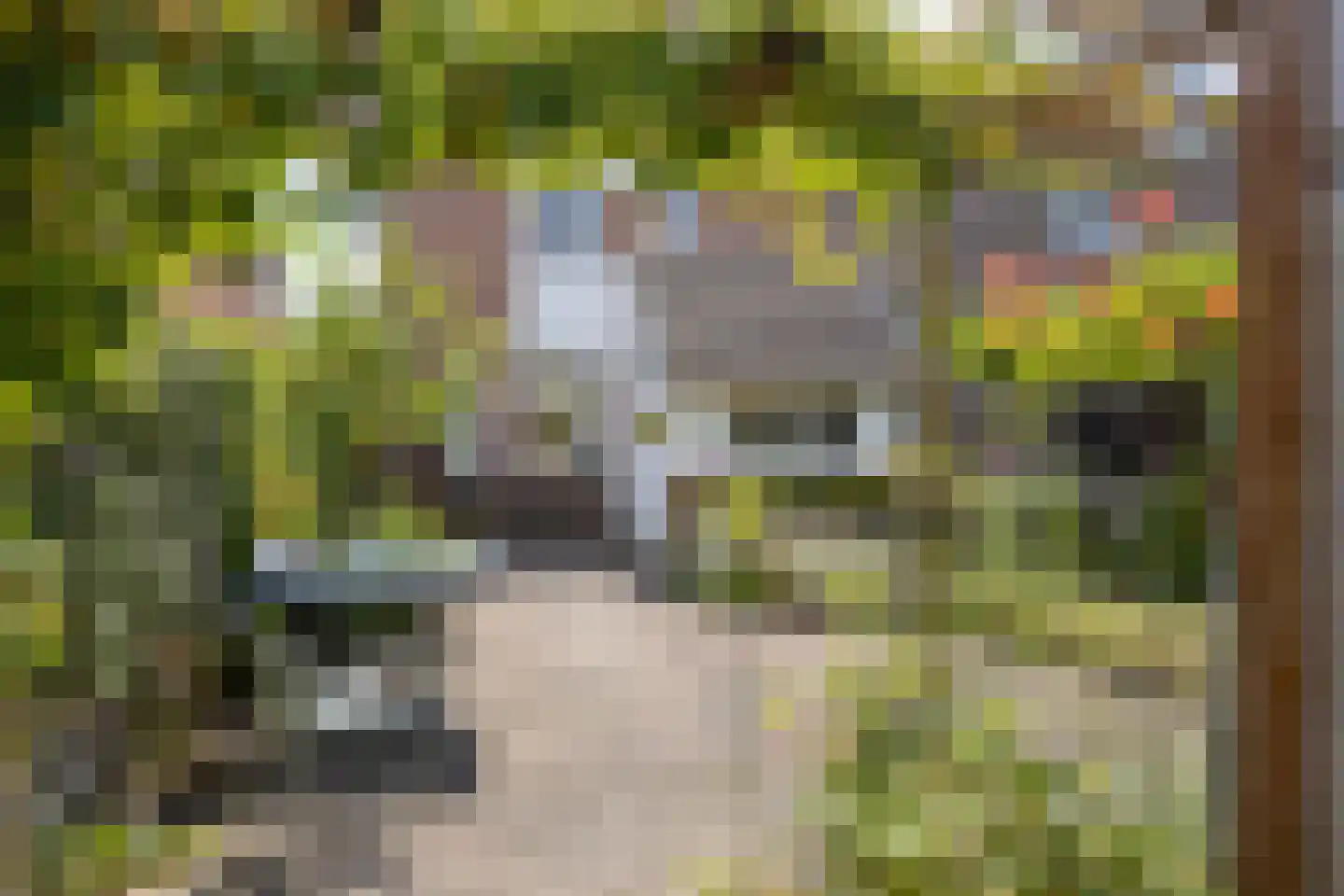 Vogelslag 52 Deventer thumbnail 31