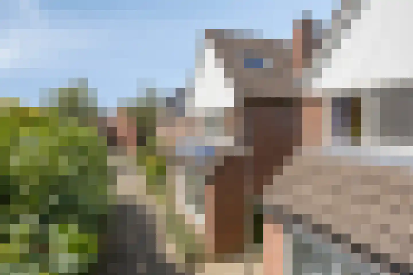 Vogelslag 52 Deventer thumbnail 40