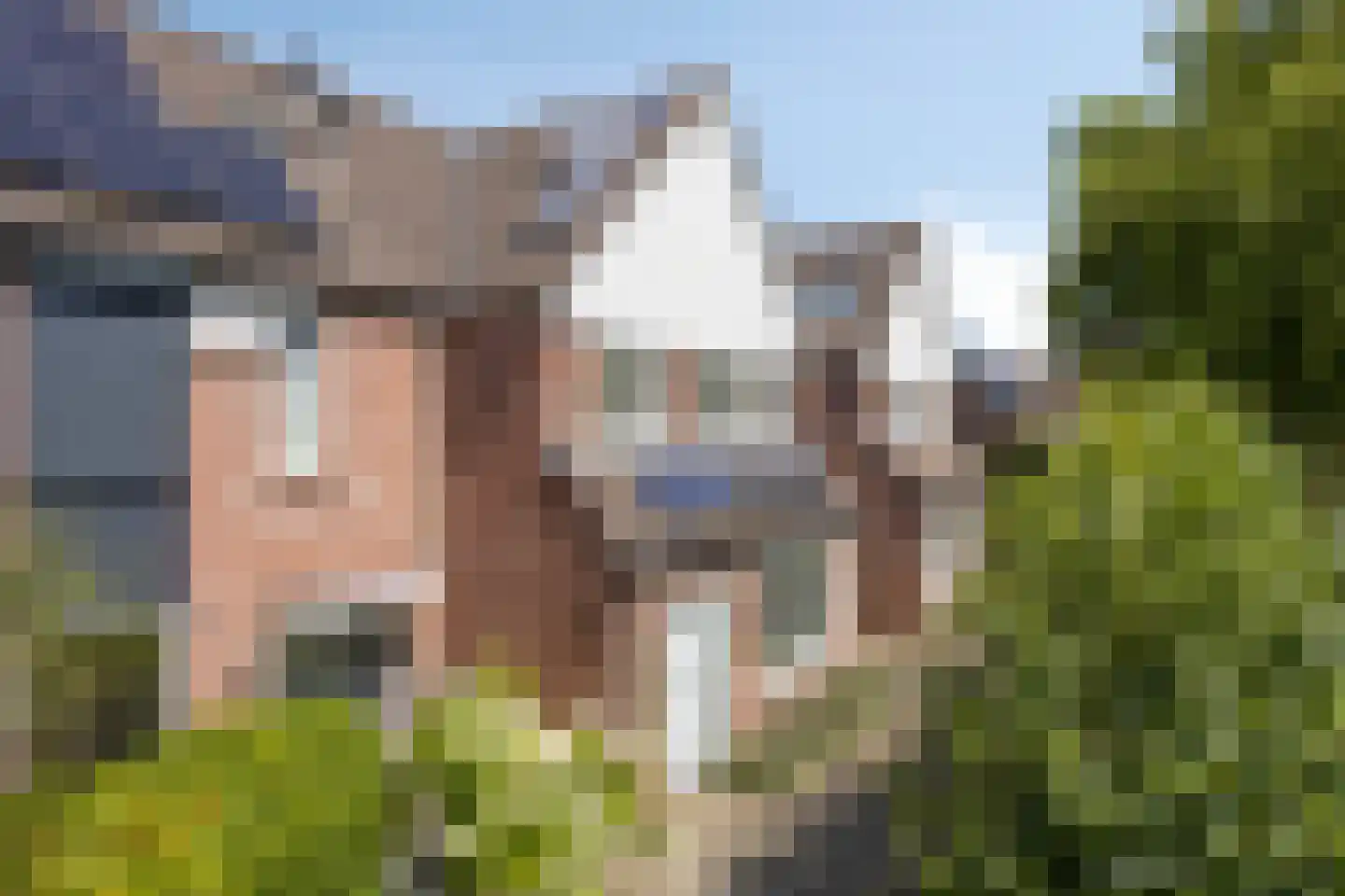 Vogelslag 52 Deventer thumbnail 41