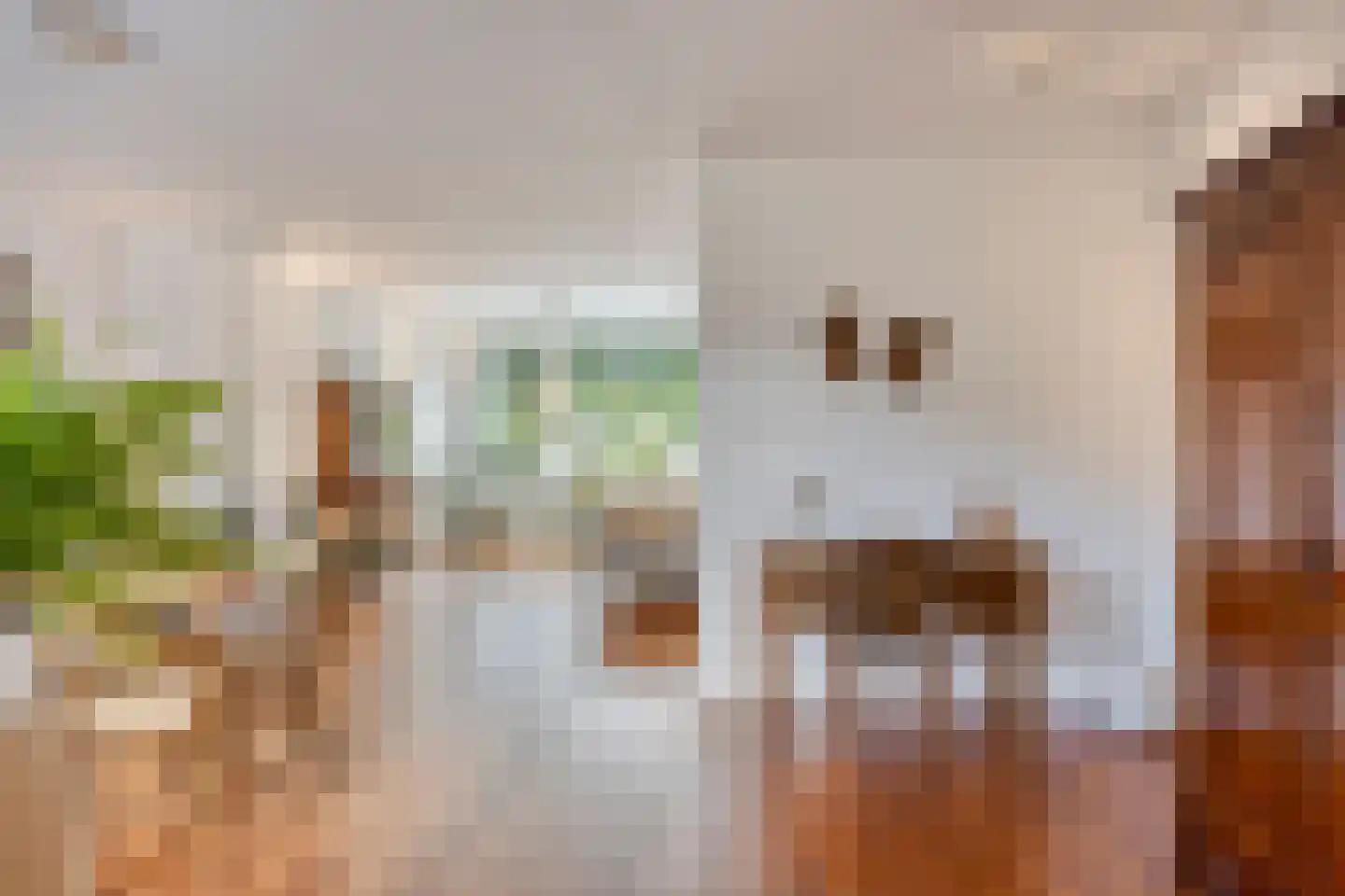 Vogelslag 52 Deventer thumbnail 8