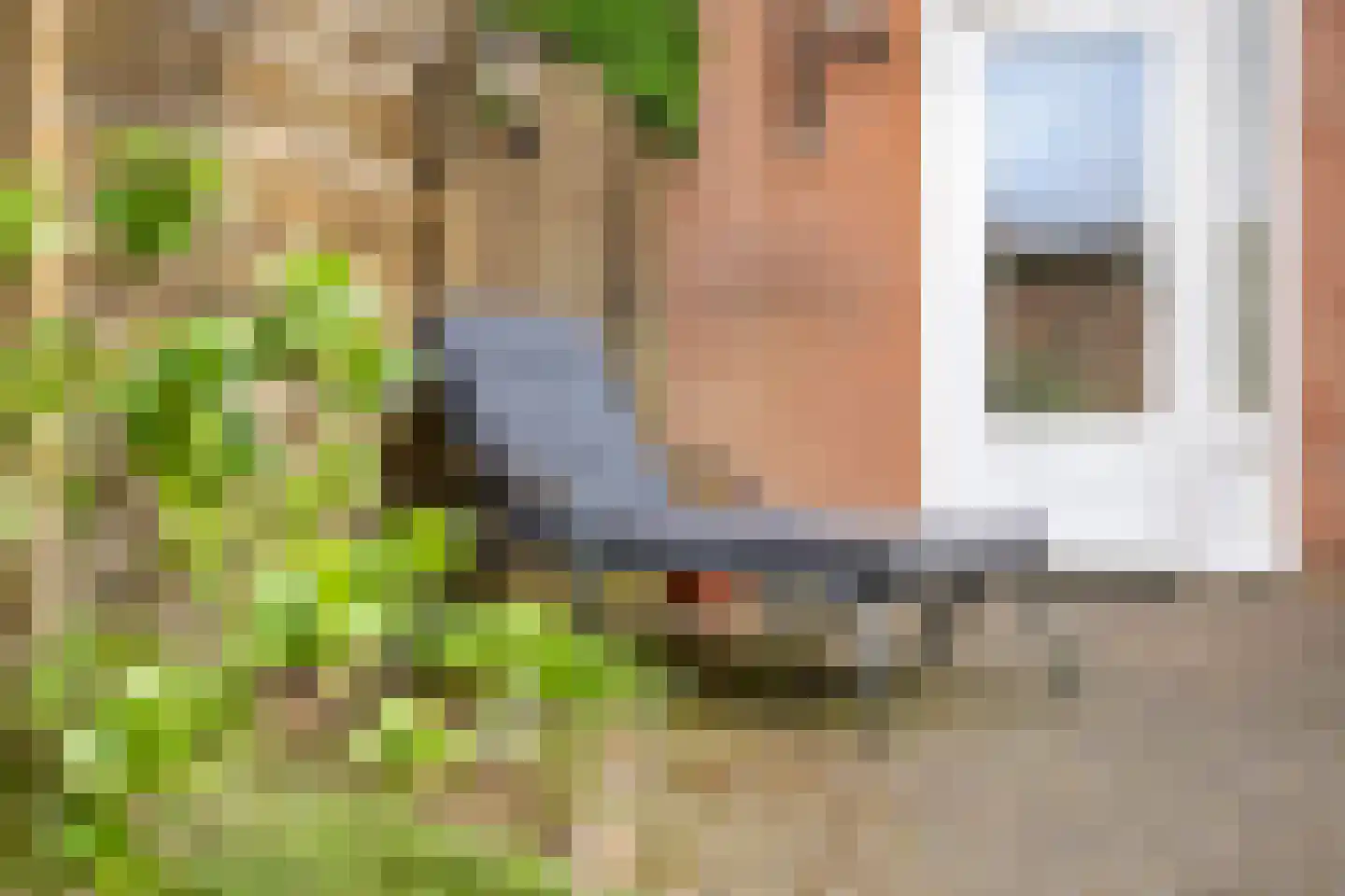 Vogelslag 65 Deventer thumbnail 18