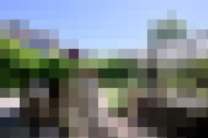 Vogelslag 71 Deventer thumbnail 35