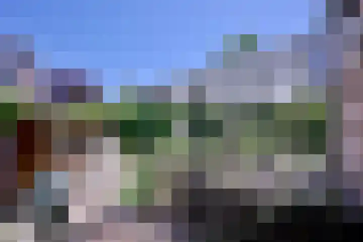 Vogelslag 71 Deventer thumbnail 36