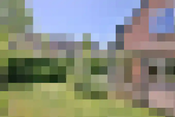 Vogelslag 71 Deventer thumbnail 37
