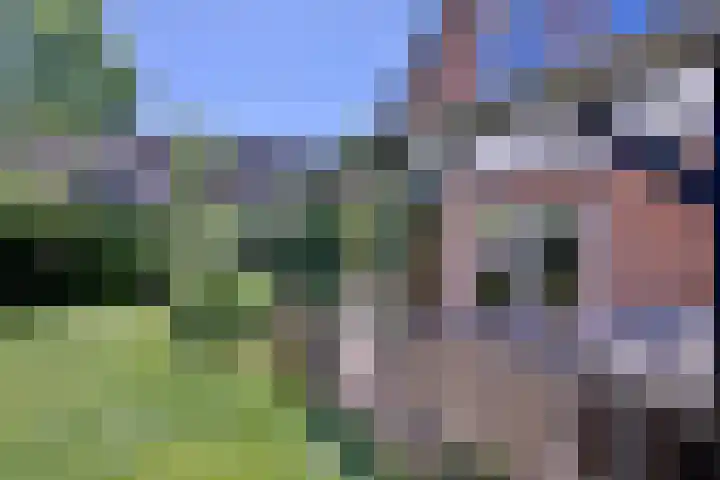 Vogelslag 71 Deventer thumbnail 38