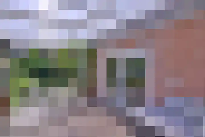 Vogelslag 71 Deventer thumbnail 39