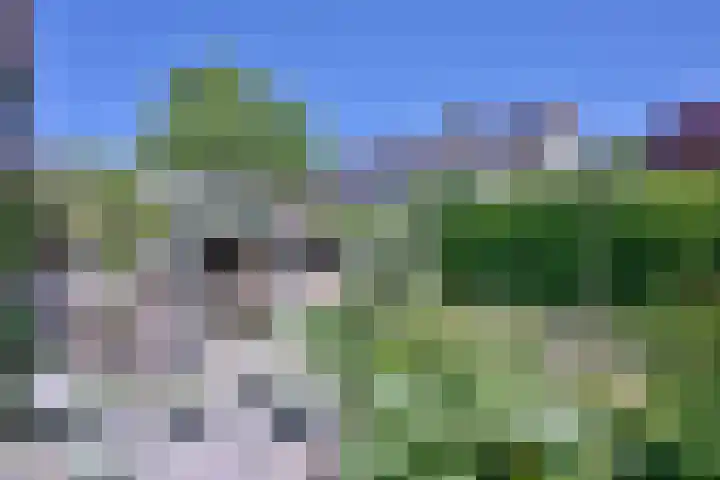 Vogelslag 71 Deventer thumbnail 43