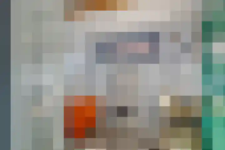 Vogelstraat 11 Middelburg thumbnail 11