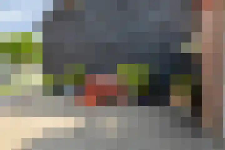 Vogelstraat 11 Middelburg thumbnail 16