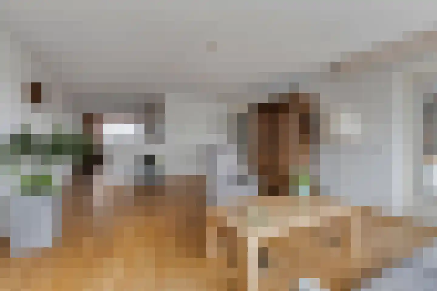 Vogelstraat 25 's-Hertogenbosch thumbnail 20